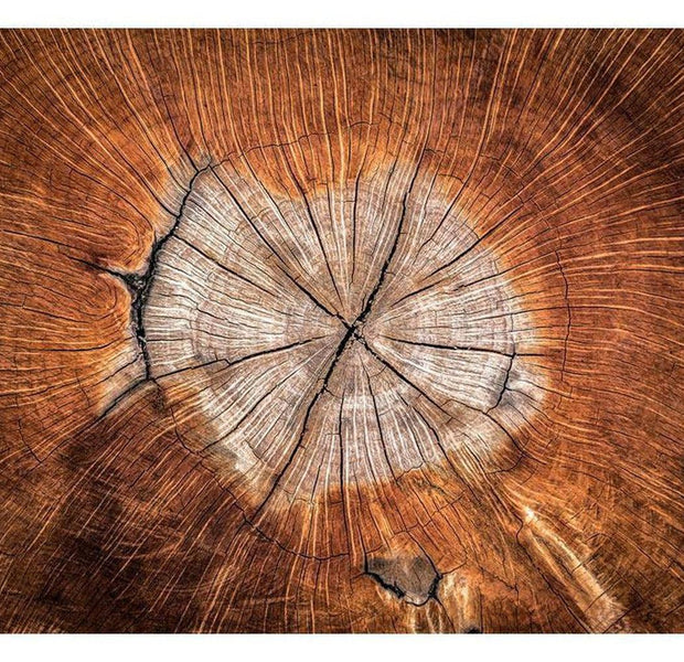 Surface Texture Wallpaper Wall Mural - The Soul Of A Tree