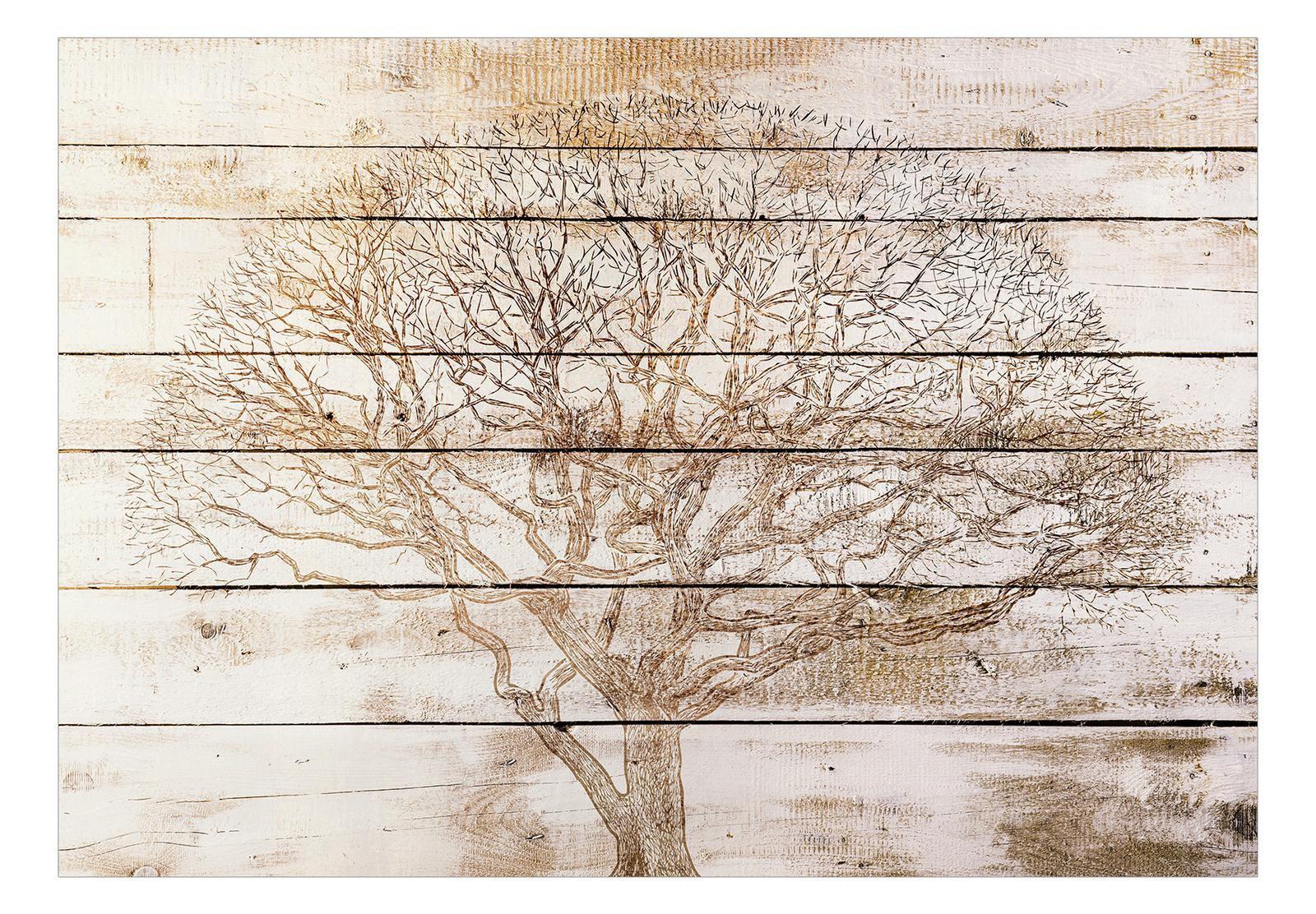 Surface Texture Wallpaper Wall Mural - Tree On Wooden Boards