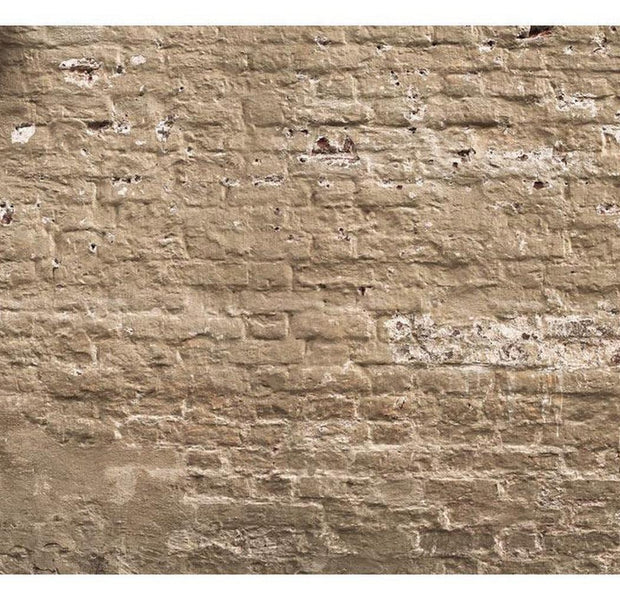 Surface Texture Wallpaper Wall Mural - Old City Wall