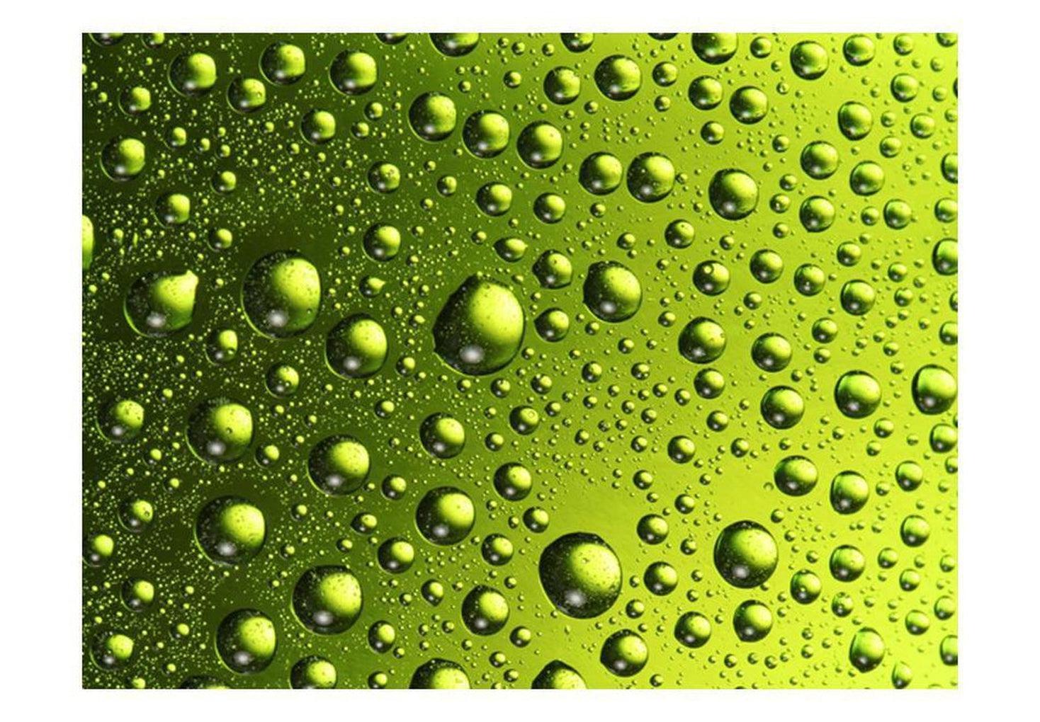 Surface Texture Wallpaper Wall Mural - Water Drops On Green Glass