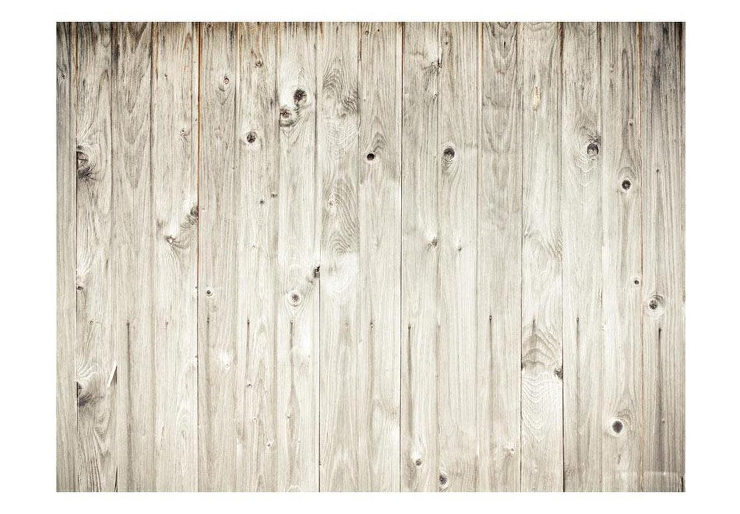 Surface Texture Wallpaper Wall Mural - Wood Fence