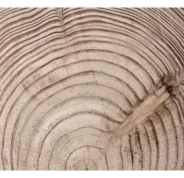 Surface Texture Wallpaper Wall Mural - Wood Grain