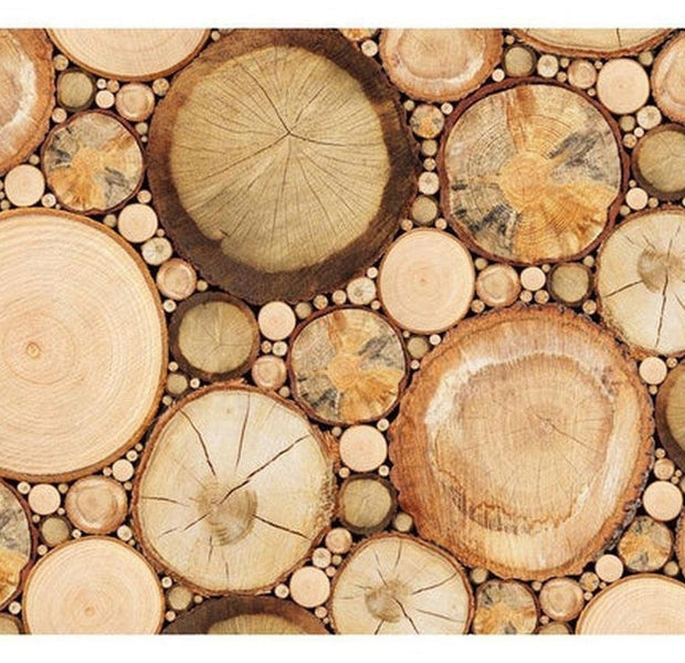 Surface Texture Wallpaper Wall Mural - Wood Grains