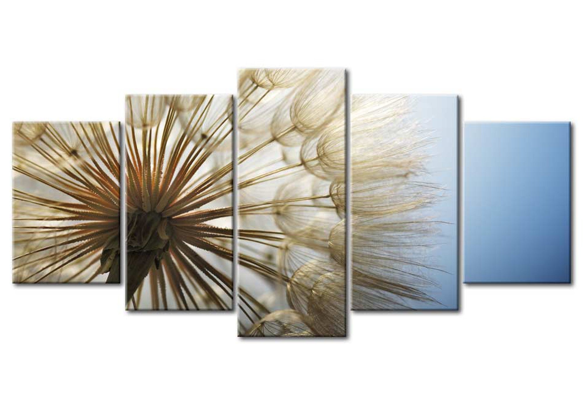 Botanical Canvas Wall Art - Dandelion Blue Sky - 5 Pieces