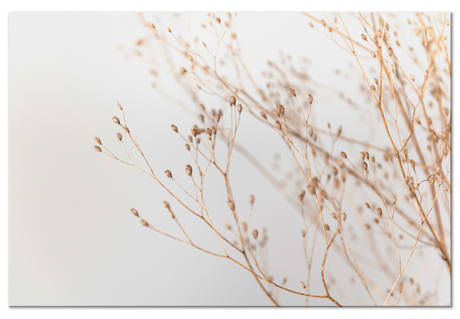 Botanical Canvas Wall Art - Minimalist Twig