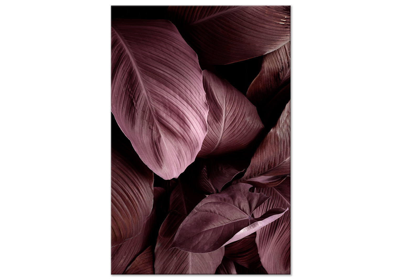 Botanical Canvas Wall Art - Velvet Leaves