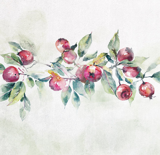 Botanical Wallpaper Wall Mural - Apple Branch