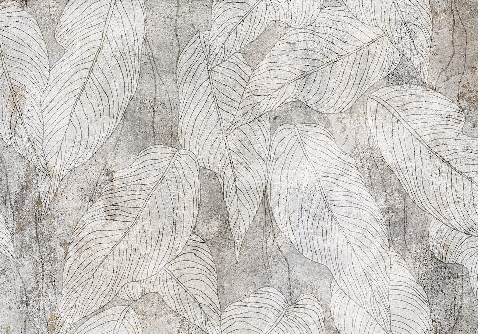 Botanical Wallpaper Wall Mural - Modern Leaf Line Art