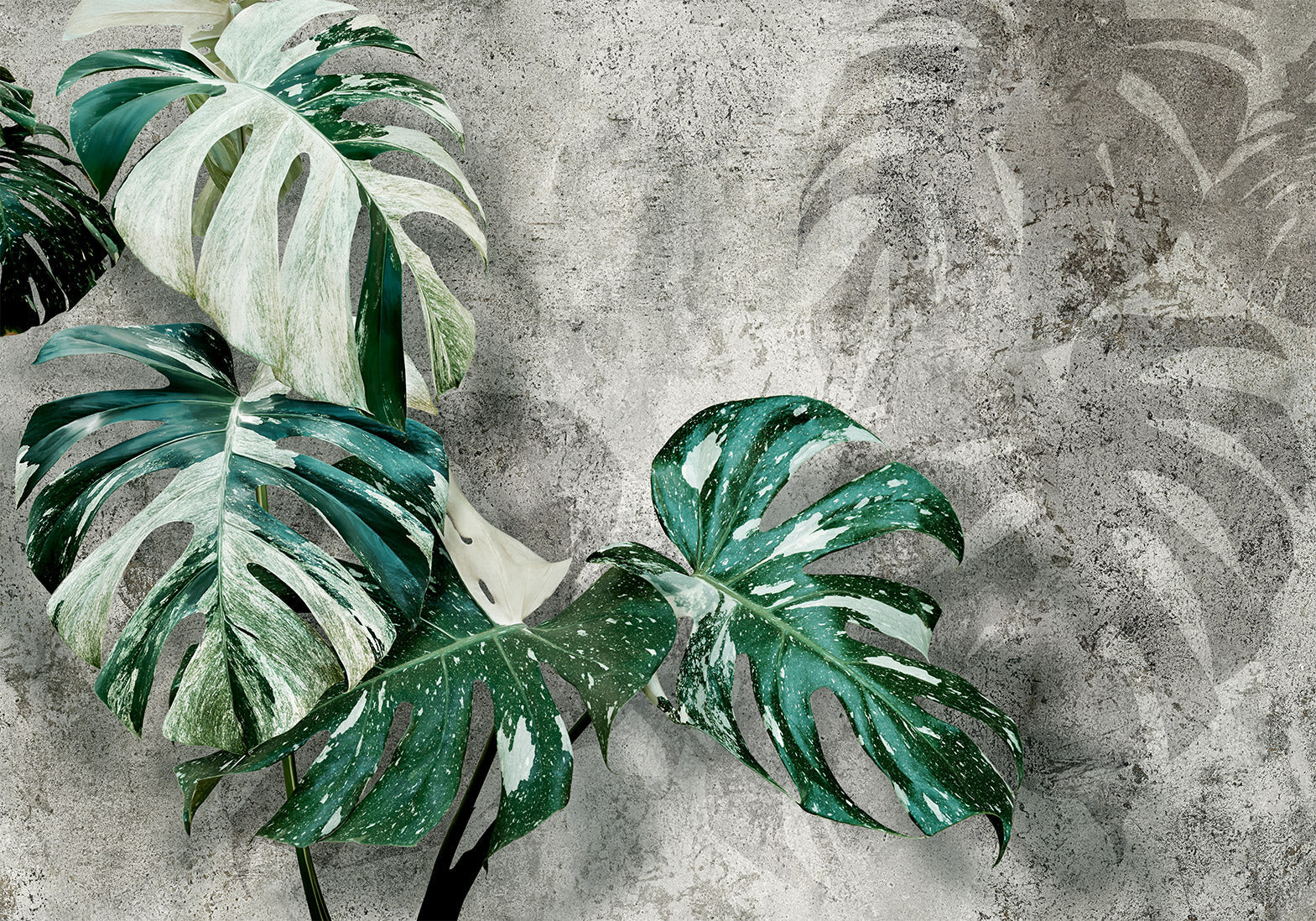 Botanical Wallpaper Wall Mural - Modern Monstera