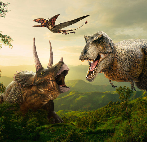 Dinosaur Wallpaper Wall Mural - Dinosaur Square