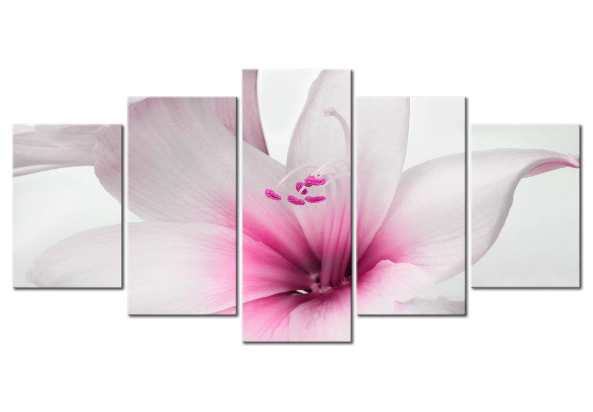 Floral Canvas Wall Art - Amaryllis Pink Charm - 5 Pieces