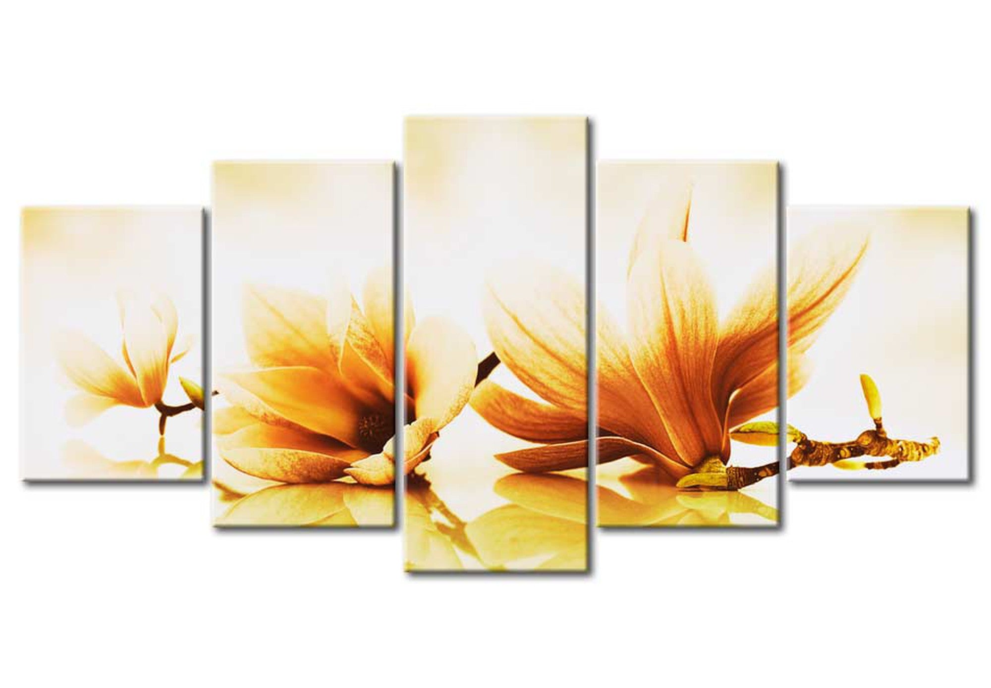 Floral Canvas Wall Art - Amber Magnolias - 5 Pieces