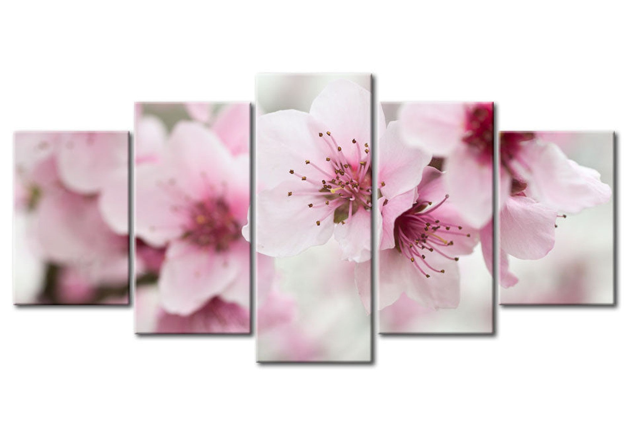 Floral Canvas Wall Art - Cherry Beauty - 5 Pieces