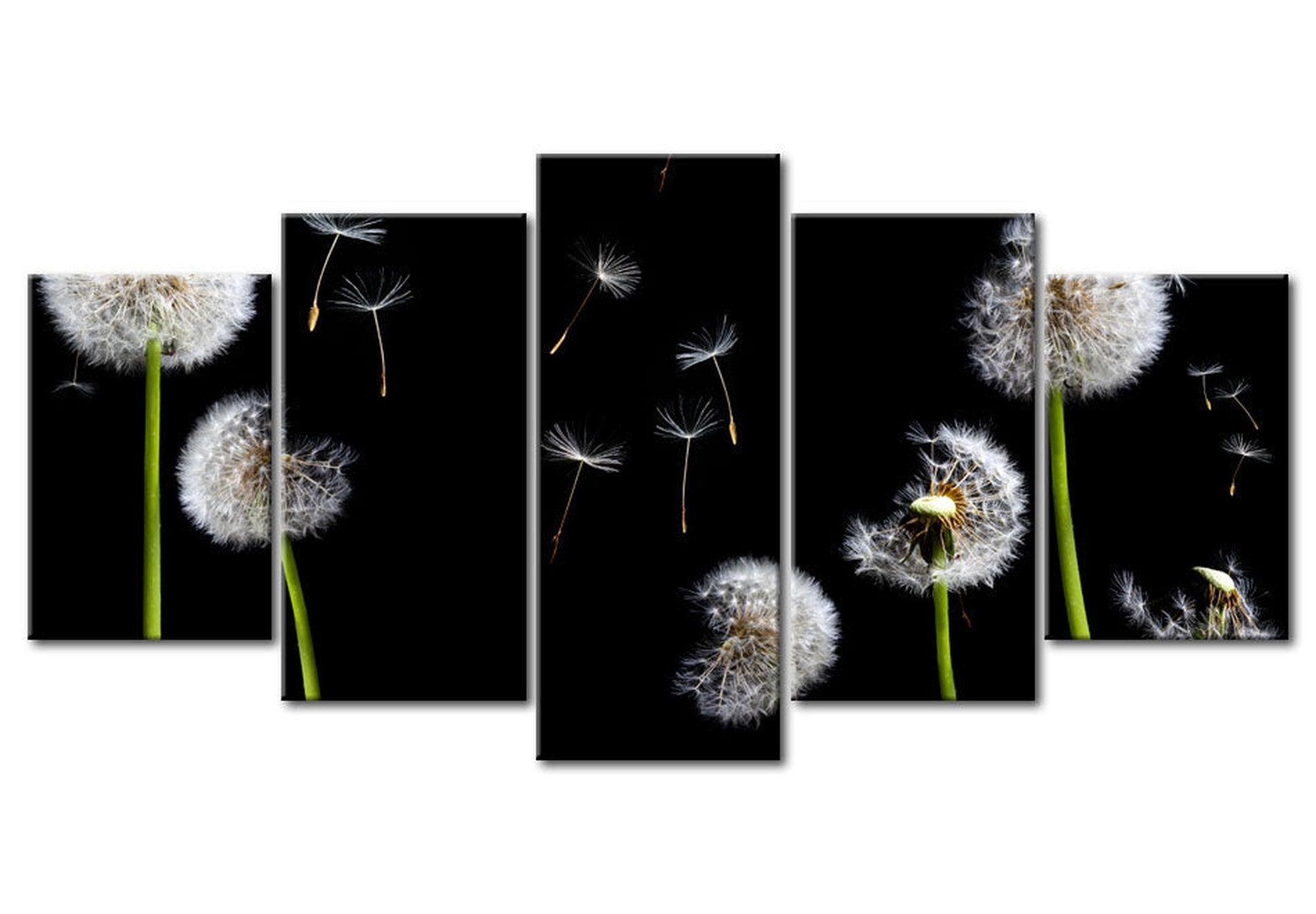 Floral Canvas Wall Art - Dandelion Freedom - 5 Pieces