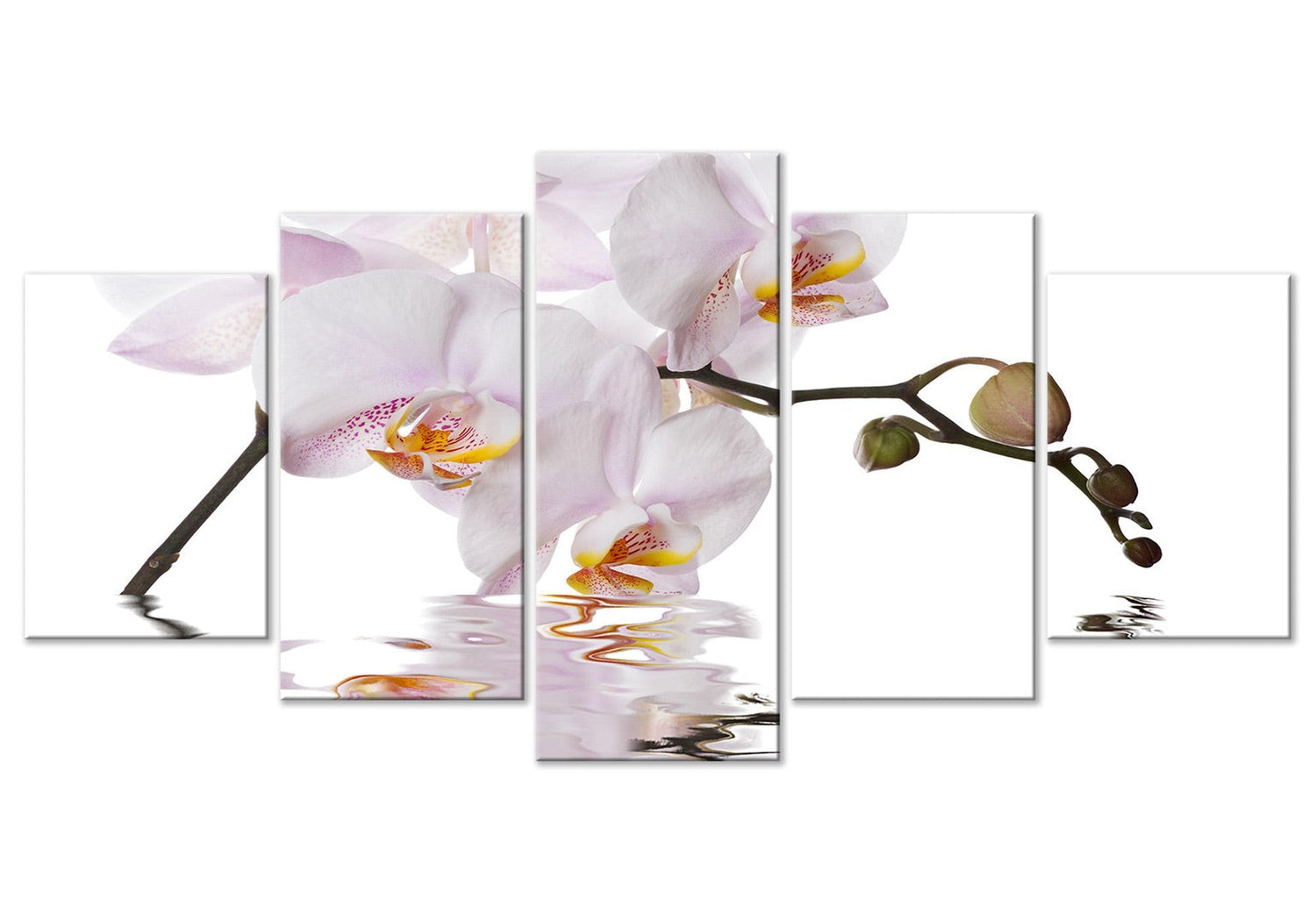 Floral Canvas Wall Art - Delightful Orchid - 5 Pieces