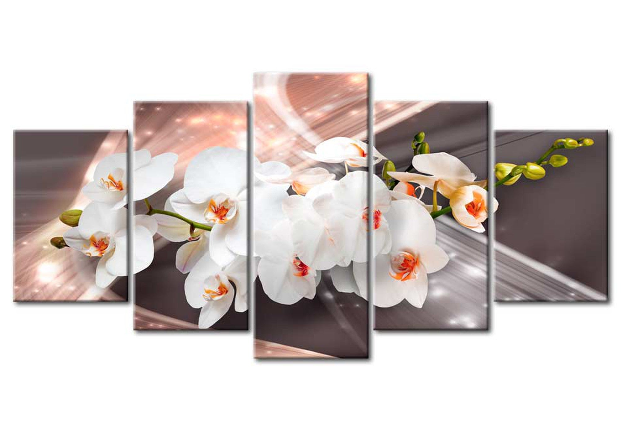 Floral Canvas Wall Art - Echo Of Beauty - 5 Pieces