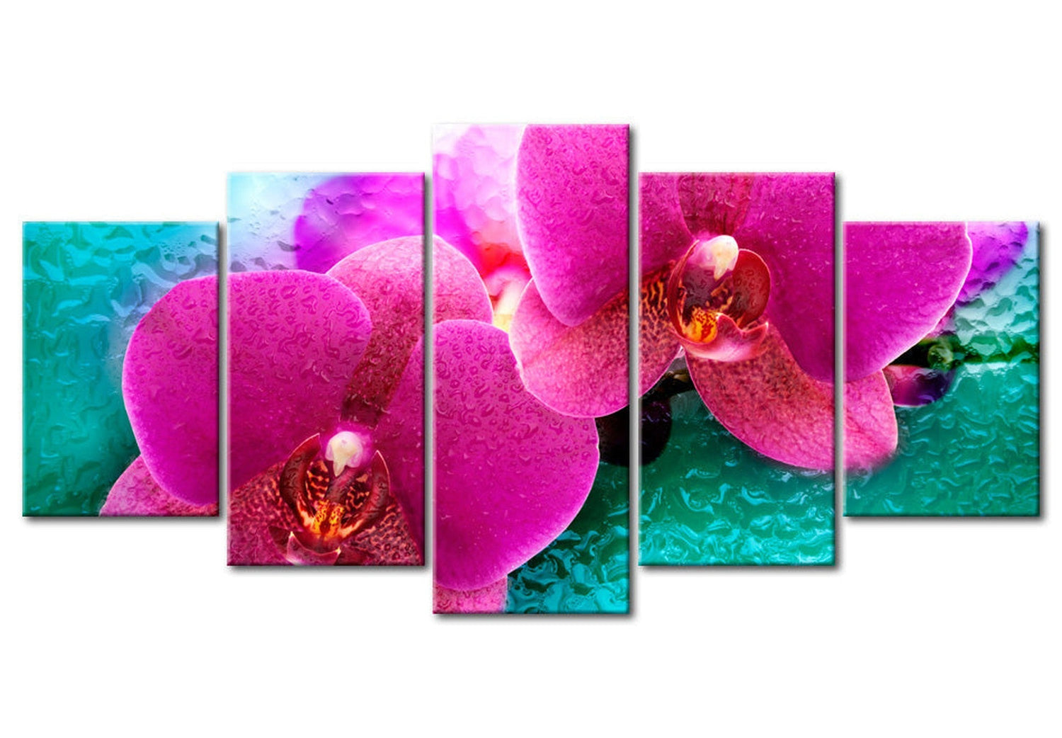 Floral Canvas Wall Art - Exotic Orchids - 5 Pieces