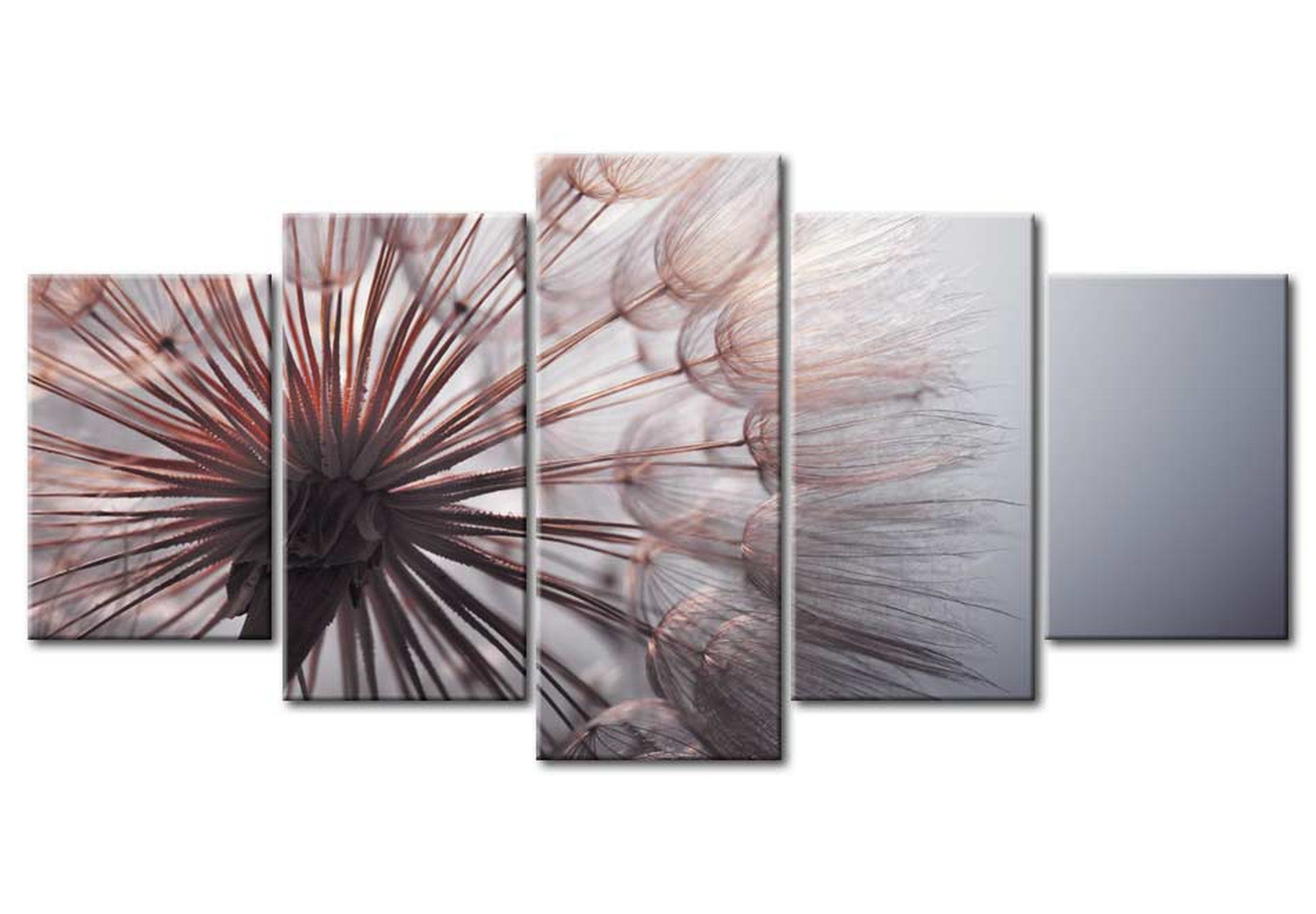 Floral Canvas Wall Art - Fleeting Dandelion - 5 Pieces