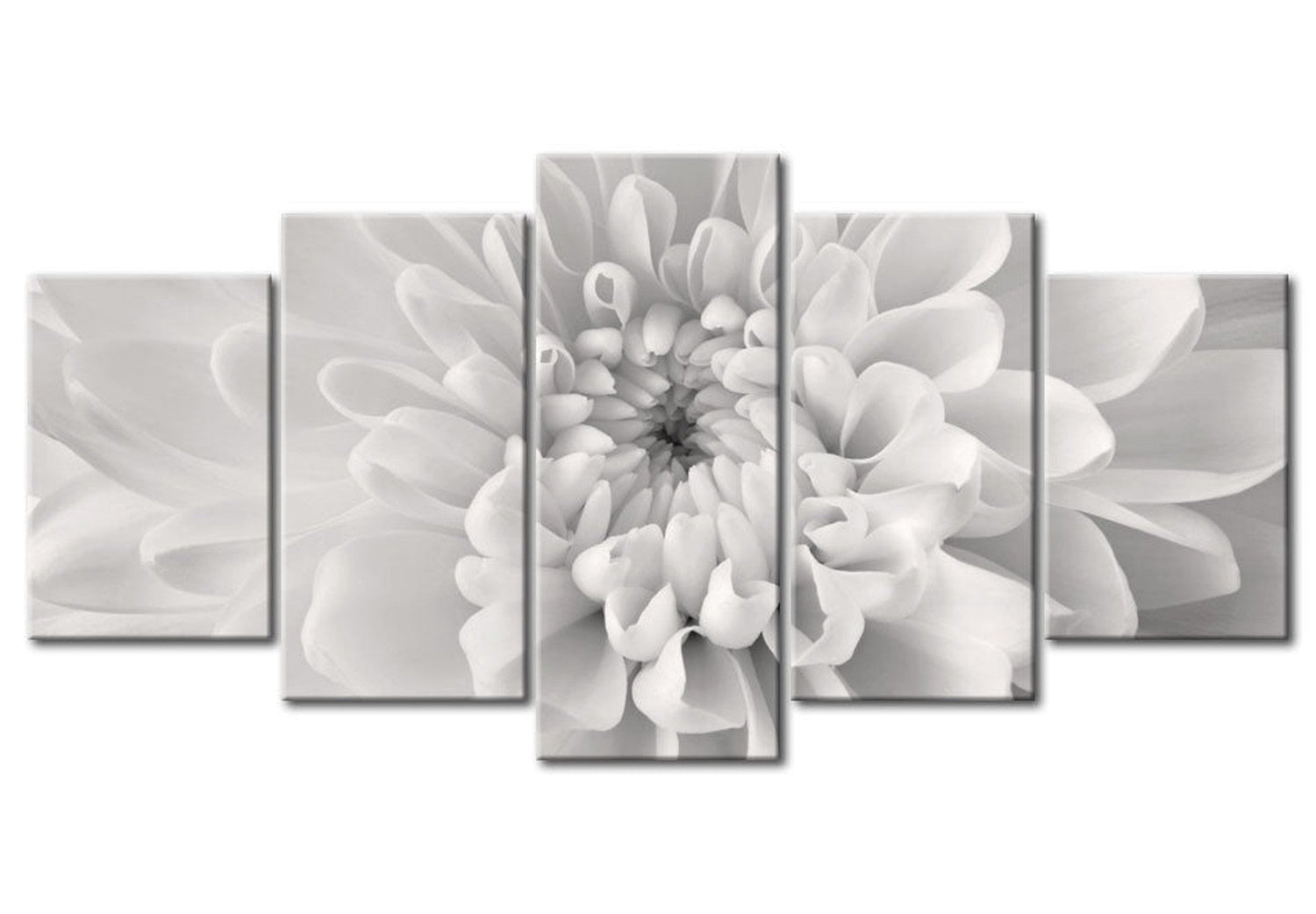 Floral Canvas Wall Art - Light Grey Dahlia - 5 Pieces