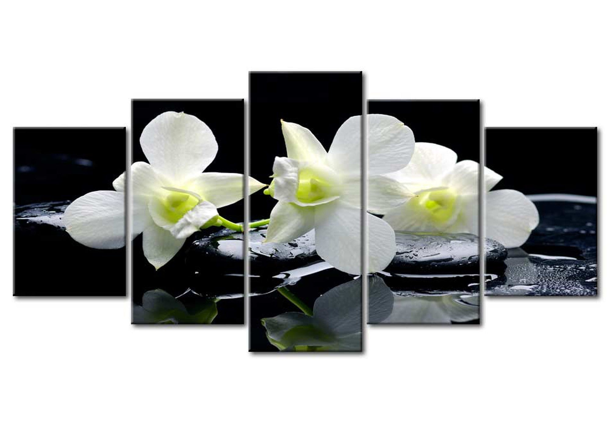 Floral Canvas Wall Art - Melancholic Orchids - 5 Pieces