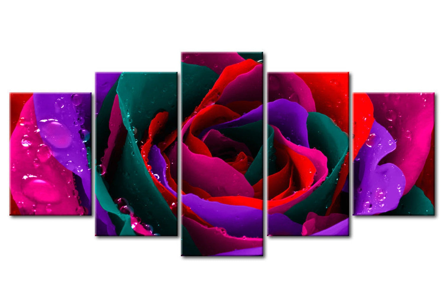 Floral Canvas Wall Art - Multicolored Rose - 5 Pieces