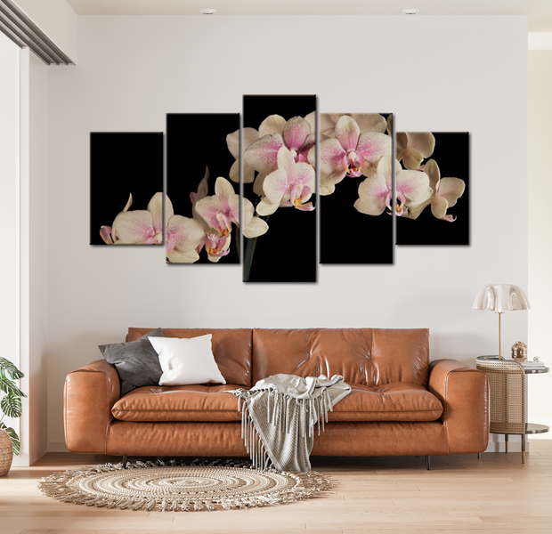 Floral Canvas Wall Art - Orchid On Black - 5 Pieces