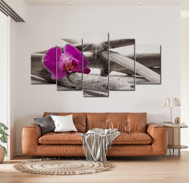 Floral Canvas Wall Art - Orchid On Driftwood - 5 Pieces