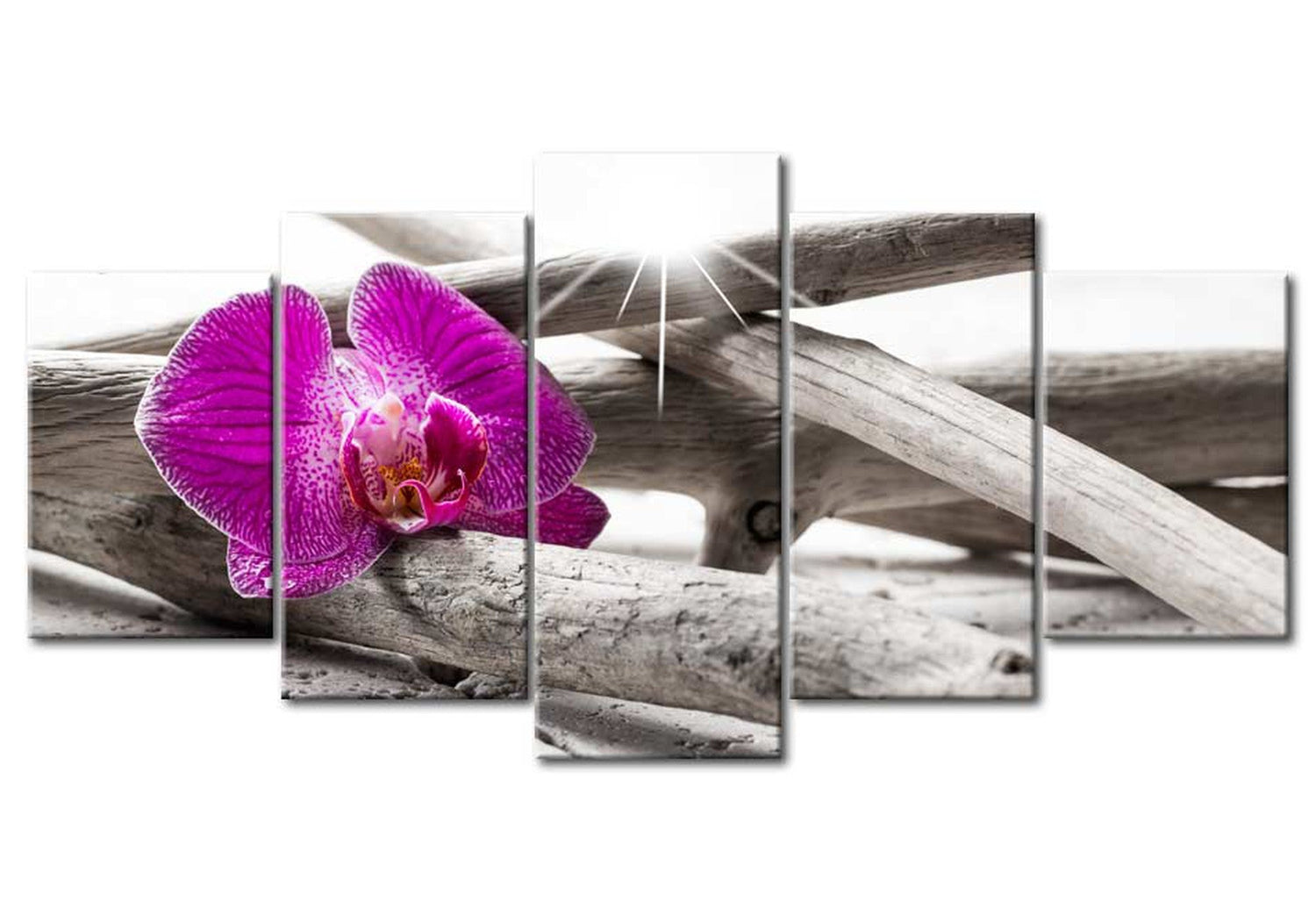 Floral Canvas Wall Art - Orchid On Driftwood - 5 Pieces