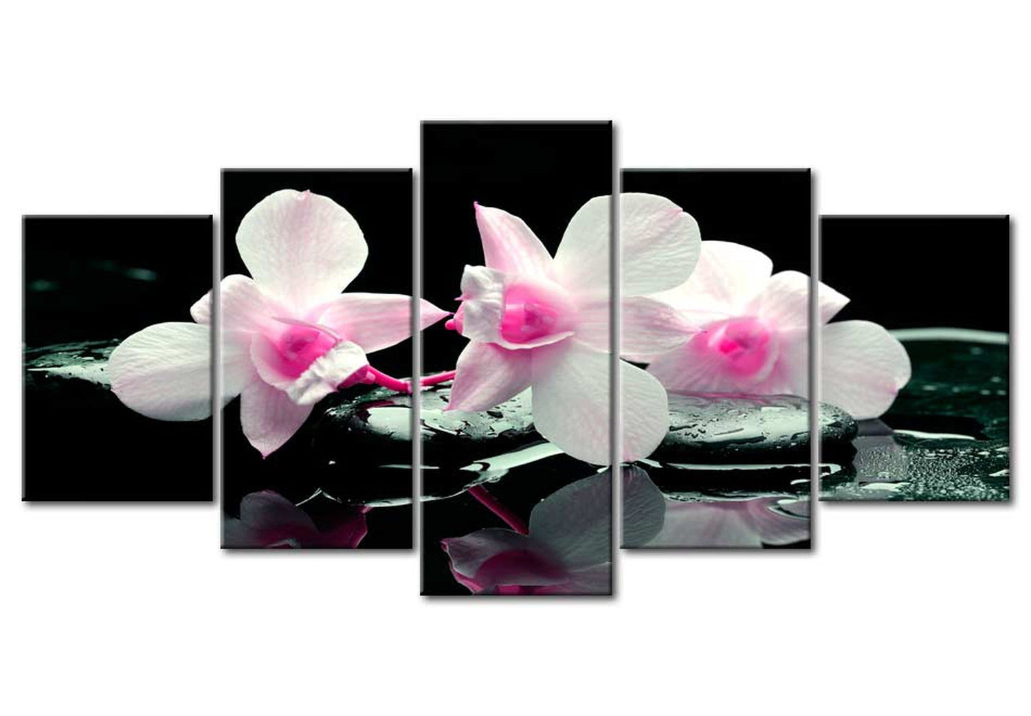Floral Canvas Wall Art - Orchid Wellness - 5 Pieces