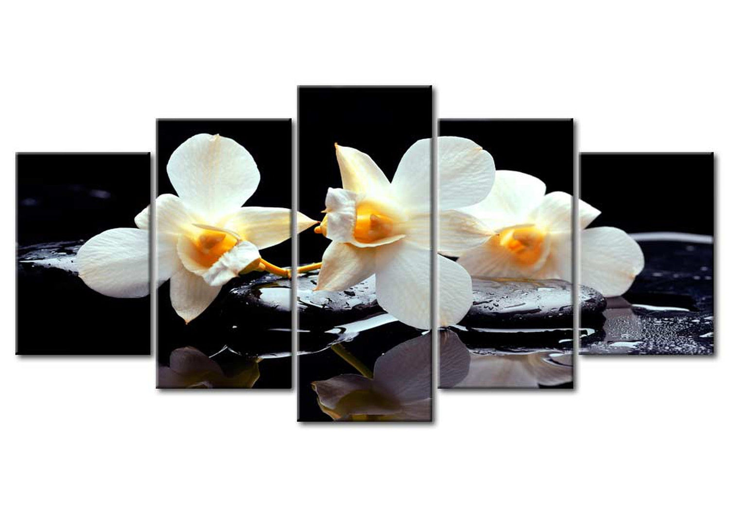 Floral Canvas Wall Art - Orchids On Water - 5 Pieces