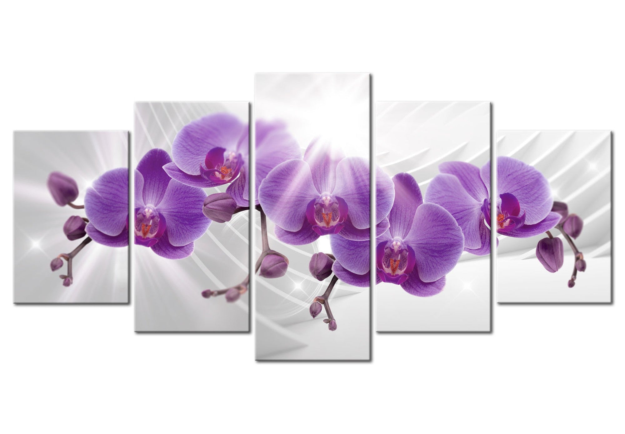 Floral Canvas Wall Art - Purple Orchids - 5 Pieces