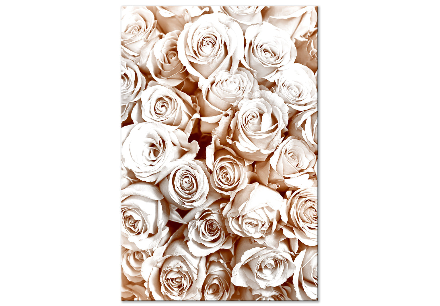 Floral Canvas Wall Art - Rose Garden