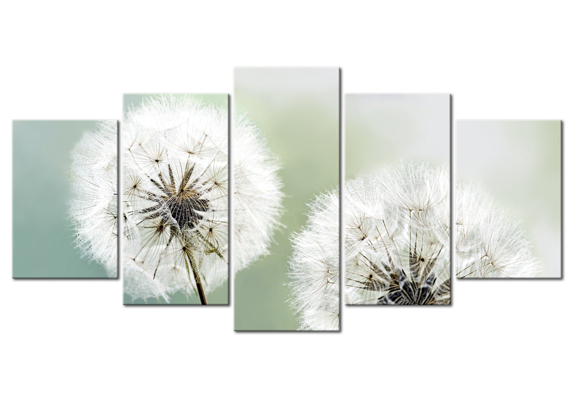 Floral Canvas Wall Art - Soft Dandelions - 5 Pieces