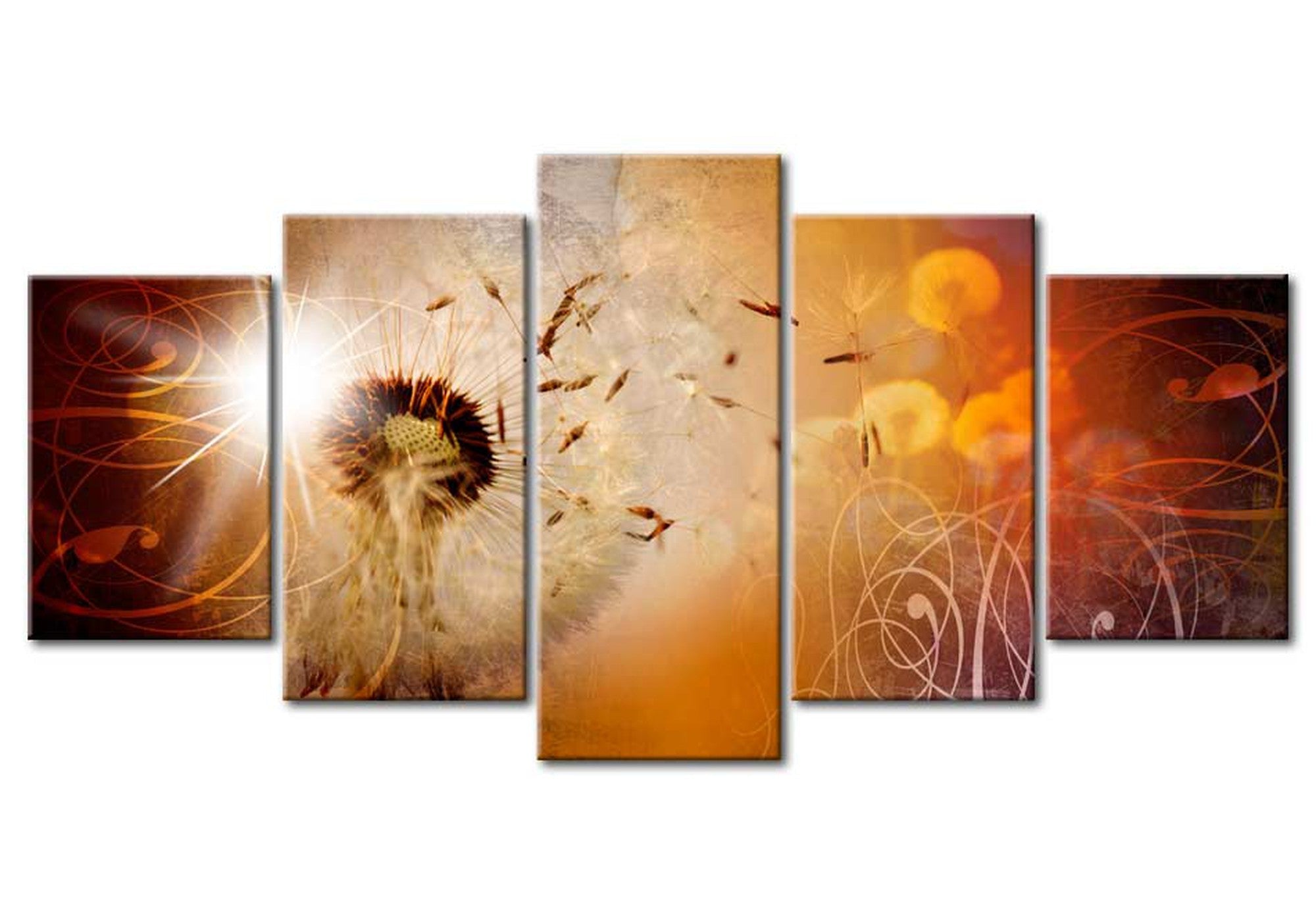 Floral Canvas Wall Art - Summer Dandelion - 5 Pieces