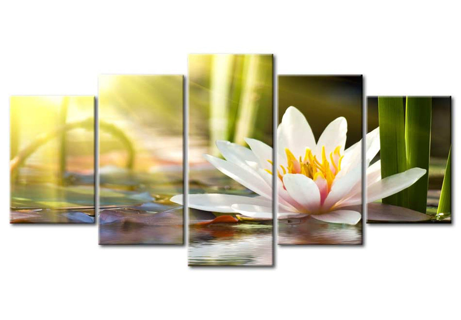 Floral Canvas Wall Art - Sunny Lotus - 5 Pieces