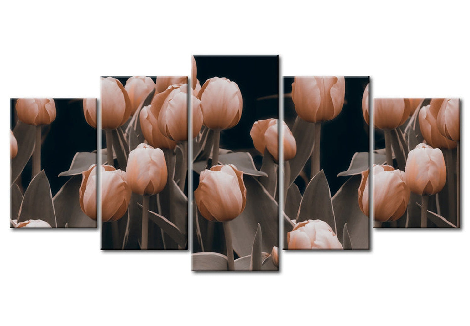Floral Canvas Wall Art - Tulips In Sepia - 5 Pieces