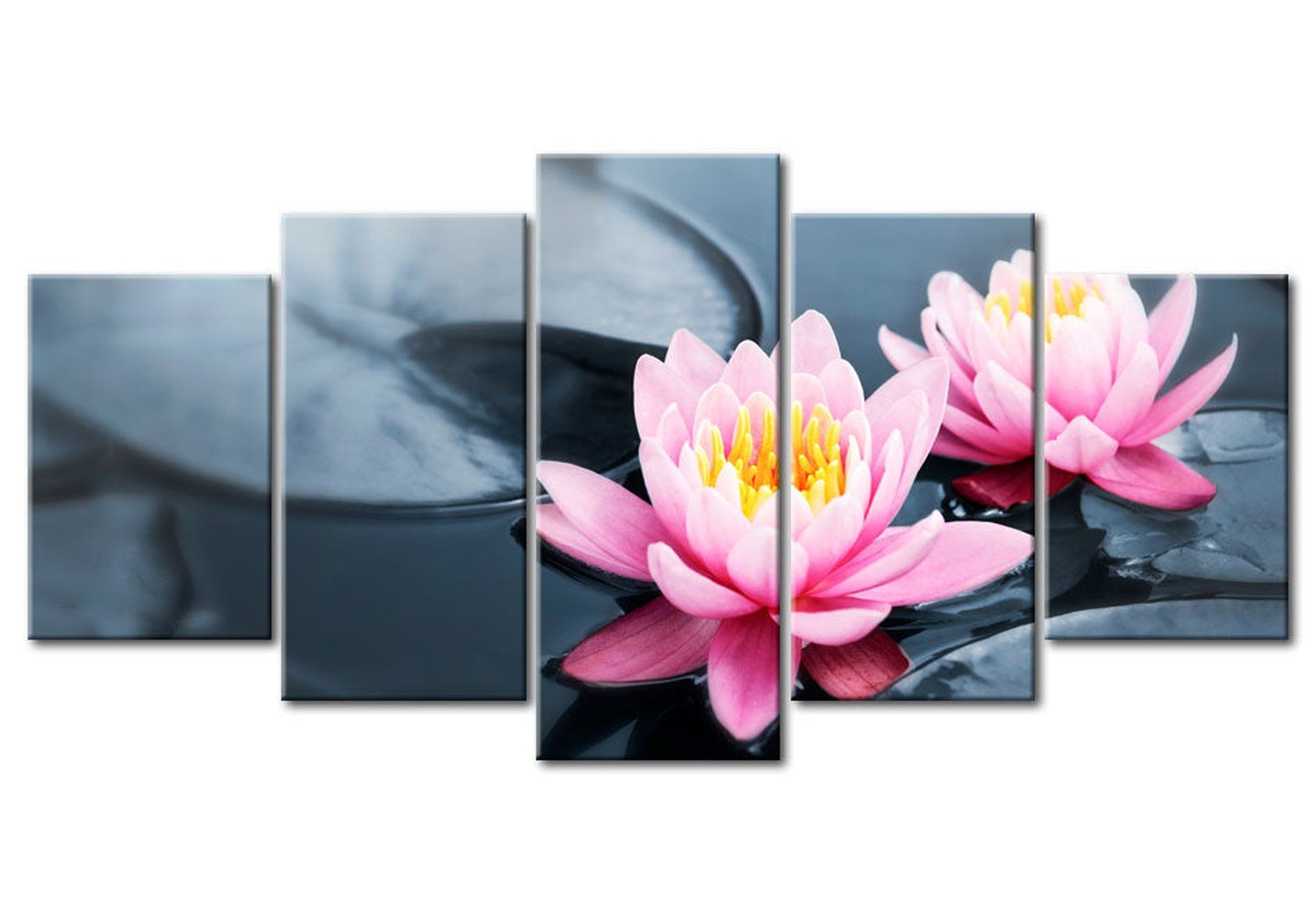 Floral Canvas Wall Art - Waterlily Dream - 5 Pieces