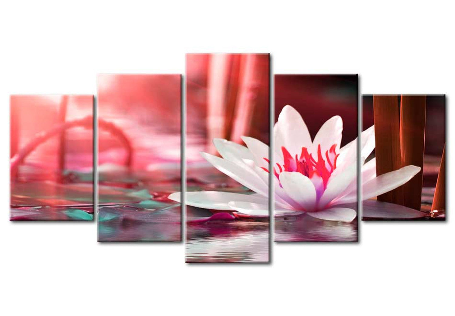 Floral Canvas Wall Art - White Water Lotus - 5 Pieces