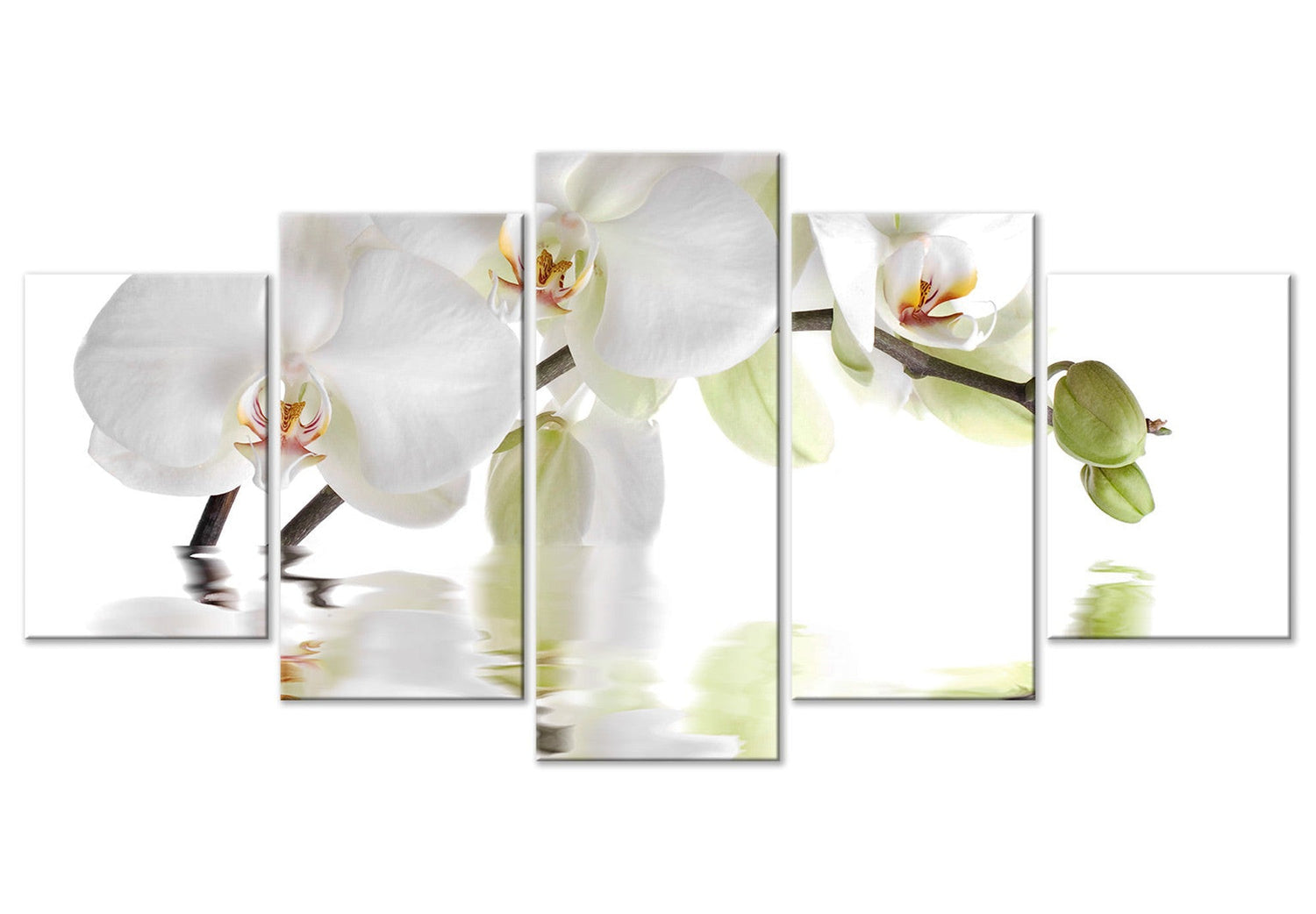 Floral Canvas Wall Art - Wonderful Orchid - 5 Pieces