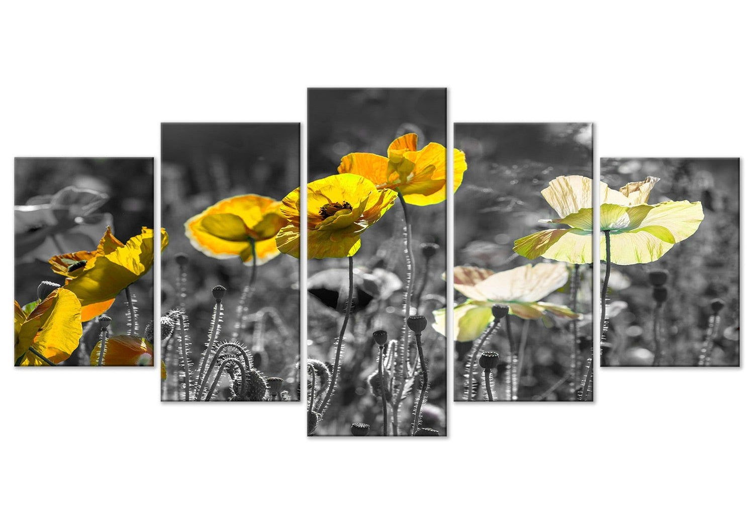 Floral Canvas Wall Art - Yellow Poppies - 5 Pieces