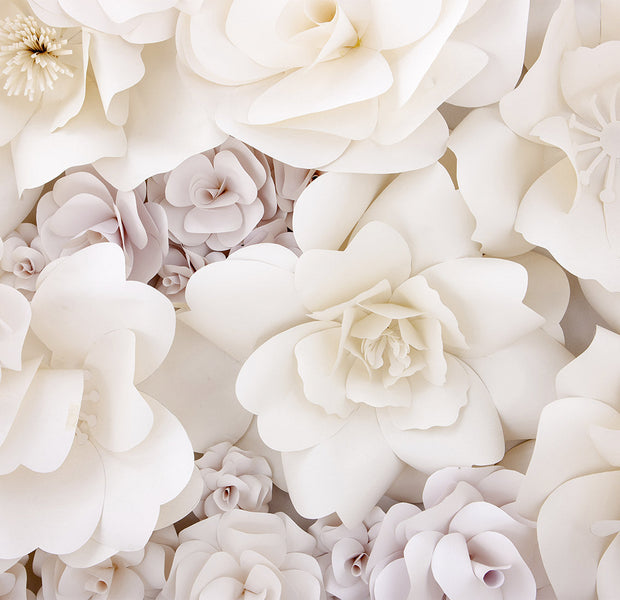 Floral Wallpaper Wall Mural - Floral Display