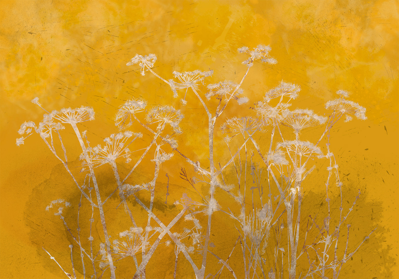 Floral Wallpaper Wall Mural - Meadow Bathed in The Sun