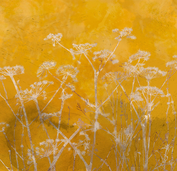 Floral Wallpaper Wall Mural - Meadow Bathed in The Sun