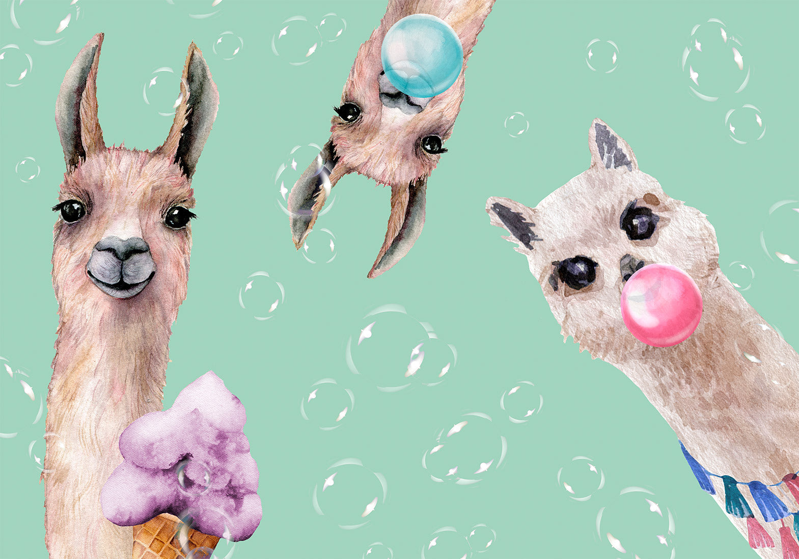 Kids Wallpaper Wall Mural - Crazy Llamas