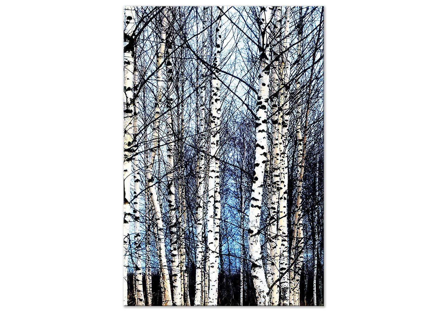 Landscape Canvas Wall Art - Frosty January