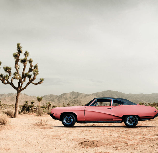 Landscape Wallpaper Wall Mural - Desert California