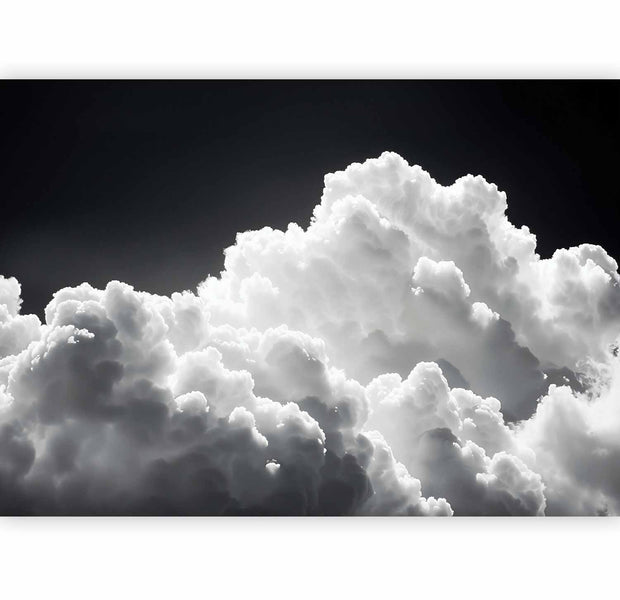 Landscape Wallpaper Wall Mural - Endless Play of Sunlight