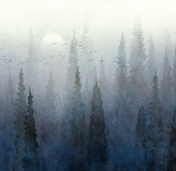 Landscape Wallpaper Wall Mural - Flight Over the Forest