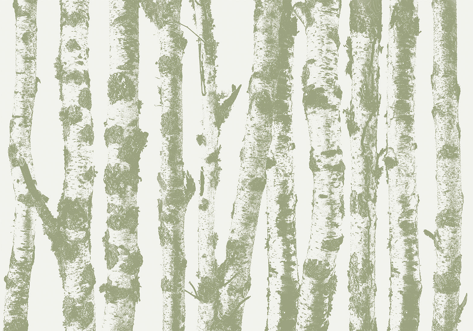 Landscape Wallpaper Wall Mural - Group of Birches Sage