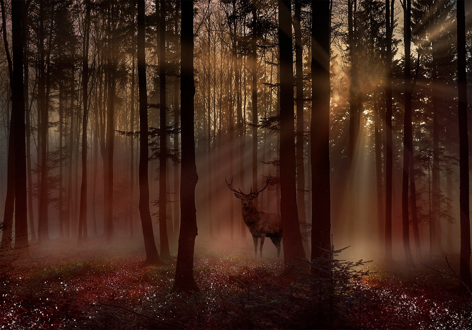 Landscape Wallpaper Wall Mural - Mystical Forest